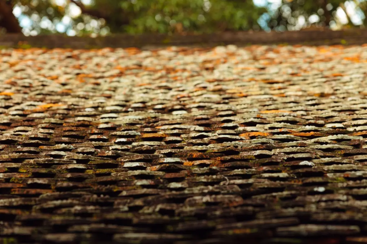 Roof Inspections in Spring Hill, FL